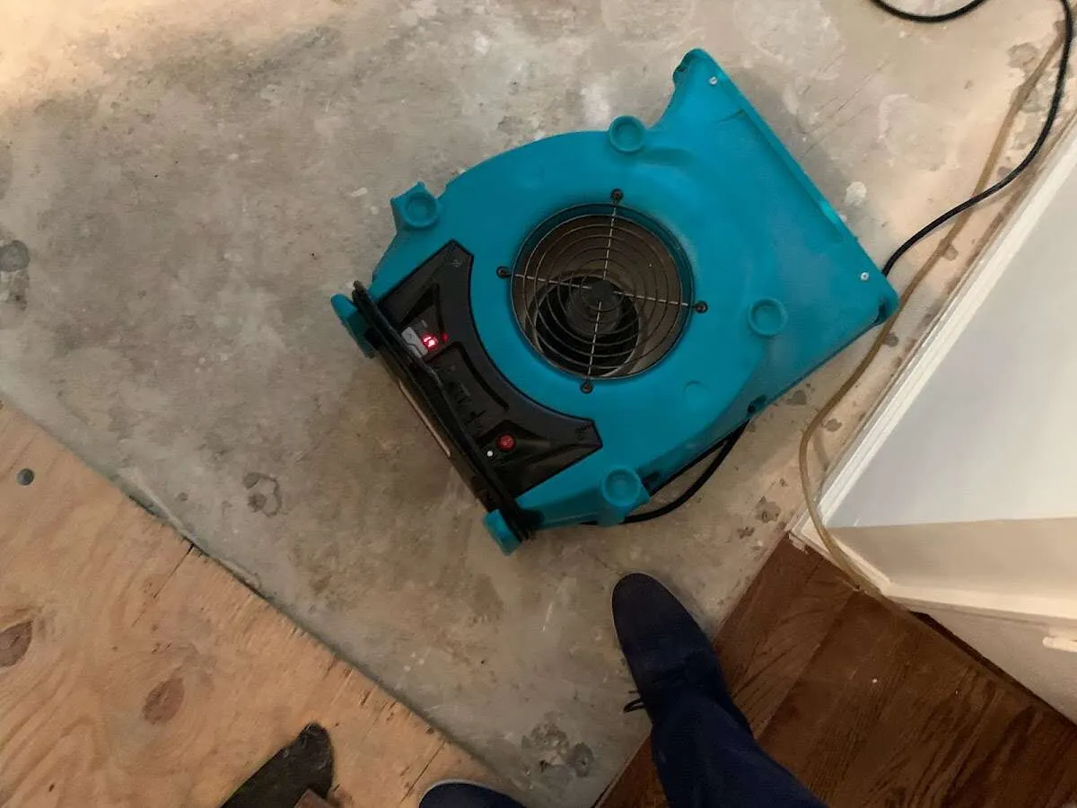 Air mover drying subfloor during Commercial Water Damage Restoration in Seattle
